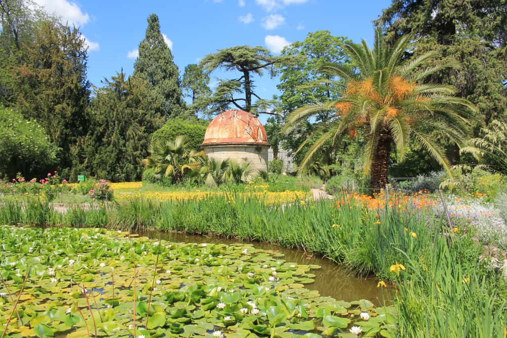 The botanical garden in Montpellier in France.