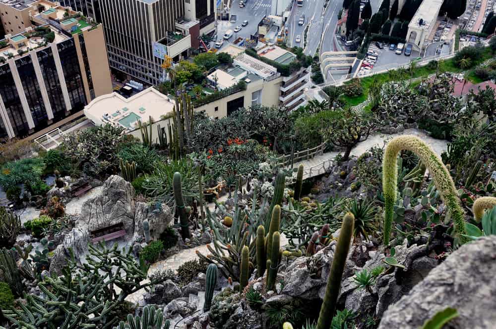 Arial view of the Exotic Garden in Monaco.