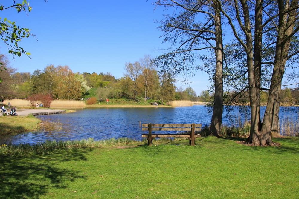 Lake in Britzer Garten in Berlin, Germany.