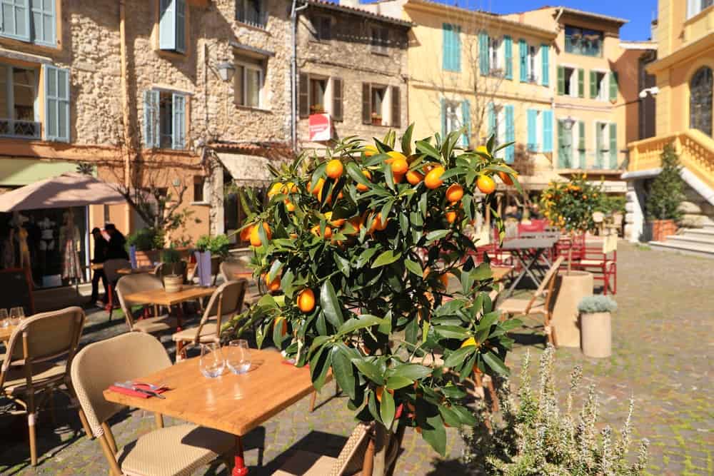 Closeup of an orange tree at a restaurant in Vence, France. In the background medieval buildings.