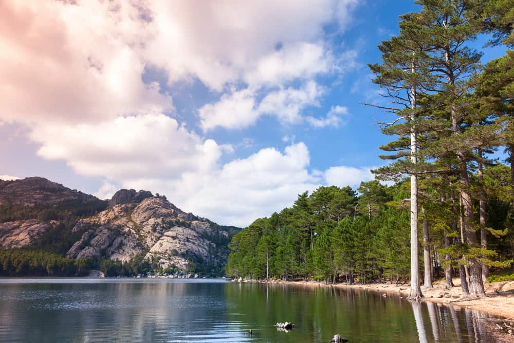 Wild landscape with still lake, pine trees and mountains on a background. Corsica island, France, L'Ospedale lake.