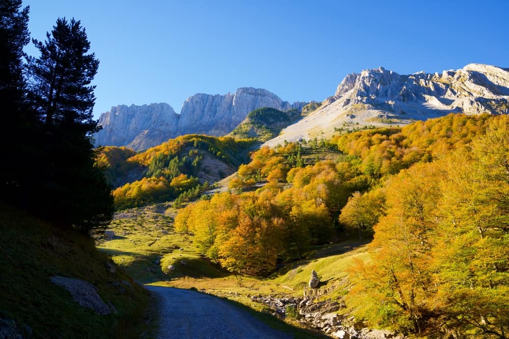 Beautiful forest with mountains in Valle de Ansó, Spain.