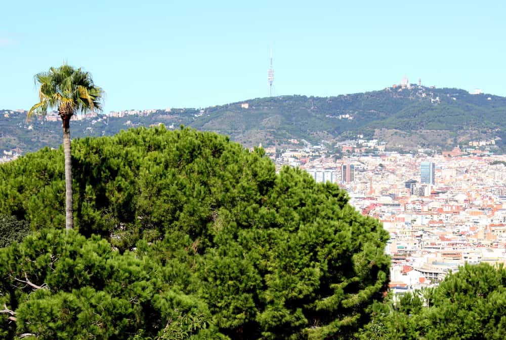 Panoramic view of Barcelona from the Montjuïc mountain.